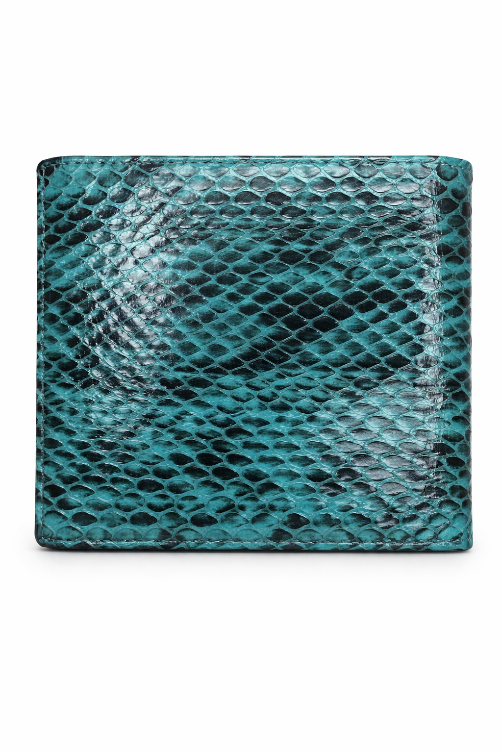 Cobra Leather bifold Wallet – Teal/Turquoise