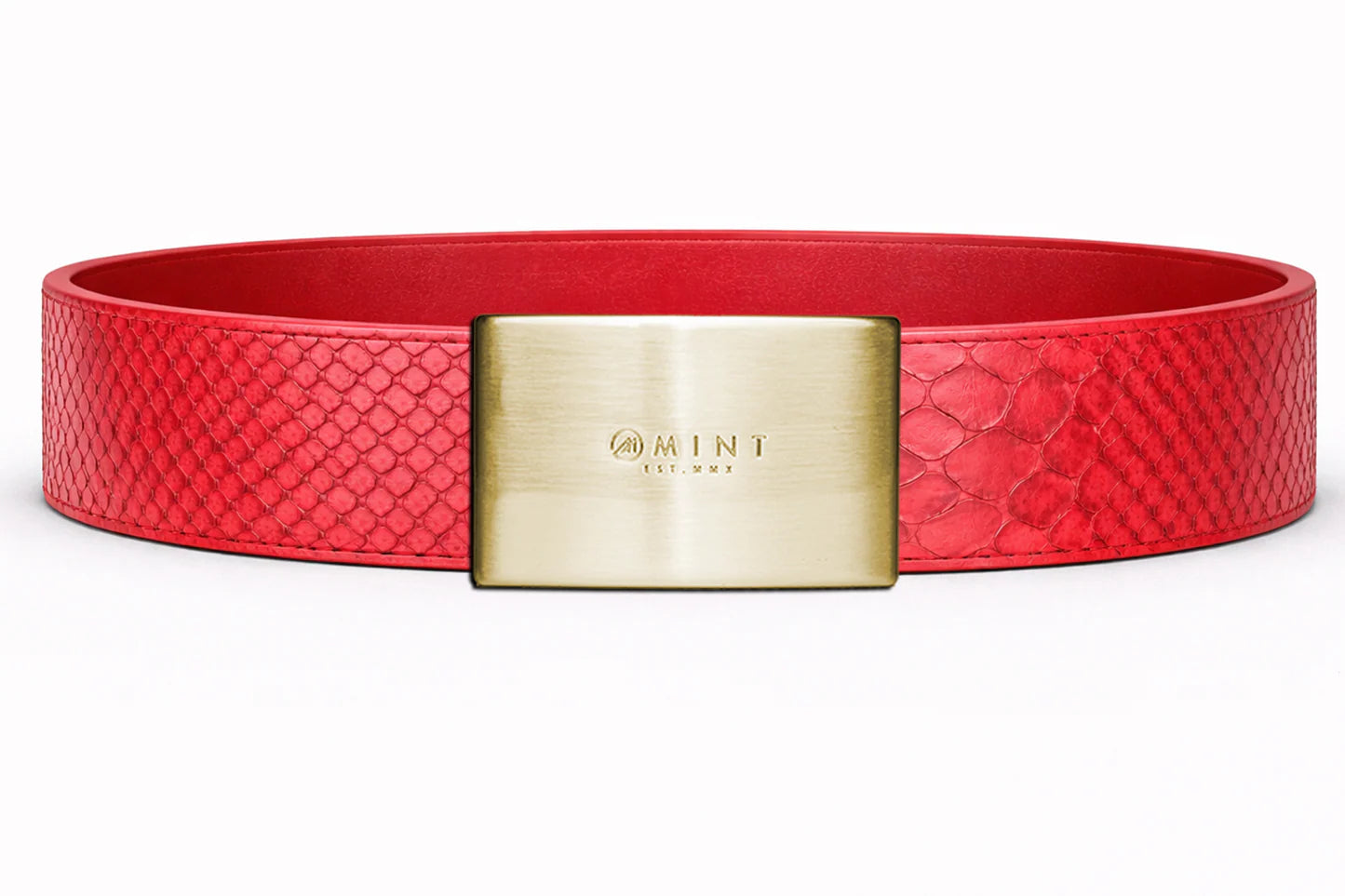 anaconda belt with Custom Buckle