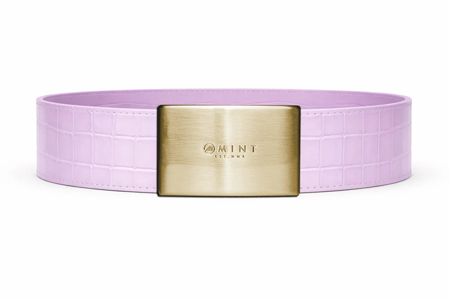 Crocodile Belts And Buckles
